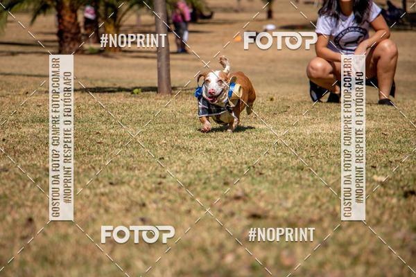 Compre suas fotos do eventoCo Joo - Festa Julina do Clube dos Salsichanos Ribeiro Preto no Fotop