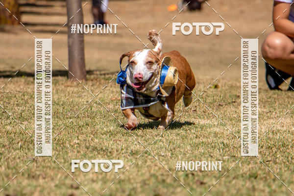 Compre suas fotos do eventoCo Joo - Festa Julina do Clube dos Salsichanos Ribeiro Preto no Fotop