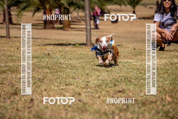 Compre suas fotos do eventoCo Joo - Festa Julina do Clube dos Salsichanos Ribeiro Preto no Fotop