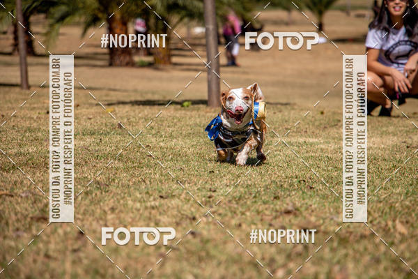 Compre suas fotos do eventoCo Joo - Festa Julina do Clube dos Salsichanos Ribeiro Preto no Fotop