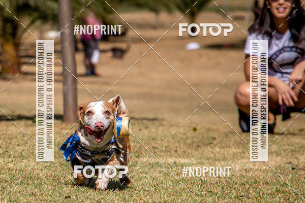 Compre suas fotos do eventoCo Joo - Festa Julina do Clube dos Salsichanos Ribeiro Preto no Fotop