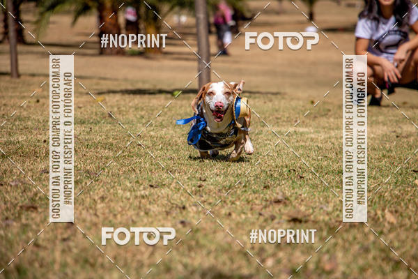 Compre suas fotos do eventoCo Joo - Festa Julina do Clube dos Salsichanos Ribeiro Preto no Fotop