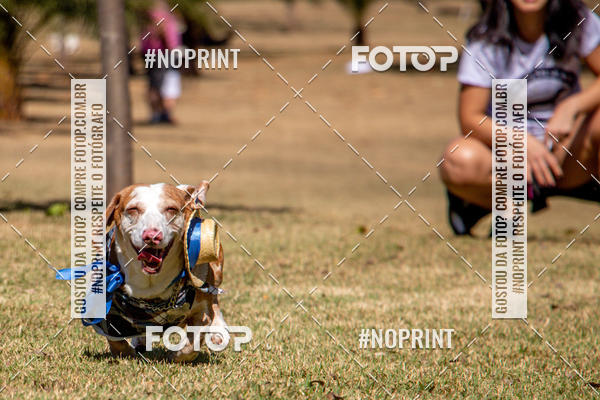 Compre suas fotos do eventoCo Joo - Festa Julina do Clube dos Salsichanos Ribeiro Preto no Fotop