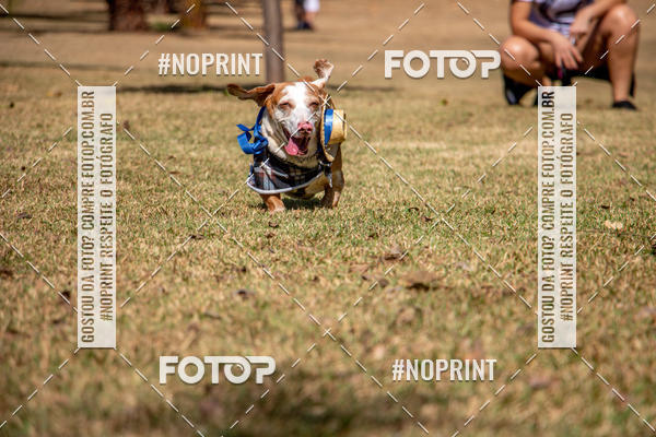 Compre suas fotos do eventoCo Joo - Festa Julina do Clube dos Salsichanos Ribeiro Preto no Fotop