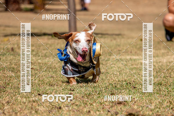 Compre suas fotos do eventoCo Joo - Festa Julina do Clube dos Salsichanos Ribeiro Preto no Fotop