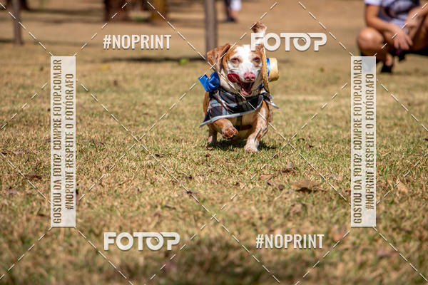 Compre suas fotos do eventoCo Joo - Festa Julina do Clube dos Salsichanos Ribeiro Preto no Fotop