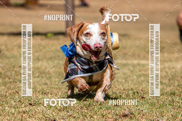 Compre suas fotos do eventoCo Joo - Festa Julina do Clube dos Salsichanos Ribeiro Preto no Fotop