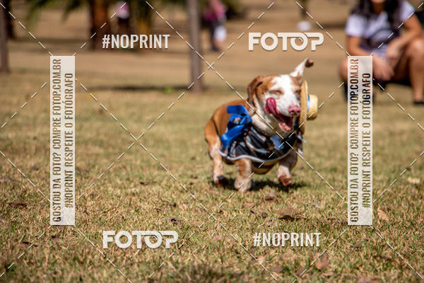 Compre suas fotos do eventoCo Joo - Festa Julina do Clube dos Salsichanos Ribeiro Preto no Fotop