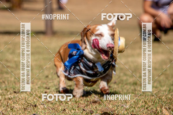 Compre suas fotos do eventoCo Joo - Festa Julina do Clube dos Salsichanos Ribeiro Preto no Fotop