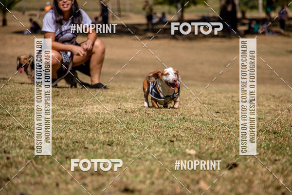 Compre suas fotos do eventoCo Joo - Festa Julina do Clube dos Salsichanos Ribeiro Preto no Fotop