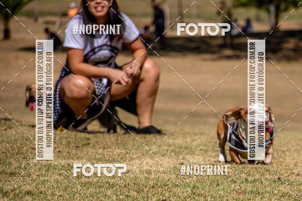 Compre suas fotos do eventoCo Joo - Festa Julina do Clube dos Salsichanos Ribeiro Preto no Fotop