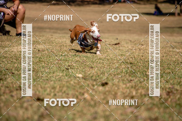 Compre suas fotos do eventoCo Joo - Festa Julina do Clube dos Salsichanos Ribeiro Preto no Fotop