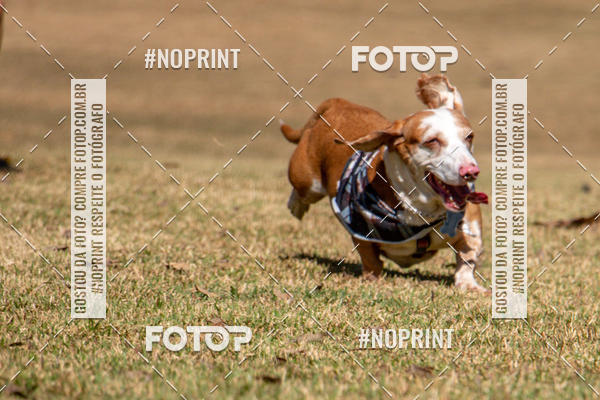 Compre suas fotos do eventoCo Joo - Festa Julina do Clube dos Salsichanos Ribeiro Preto no Fotop