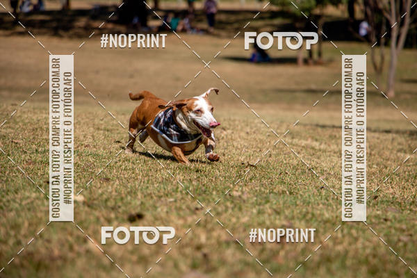 Compre suas fotos do eventoCo Joo - Festa Julina do Clube dos Salsichanos Ribeiro Preto no Fotop