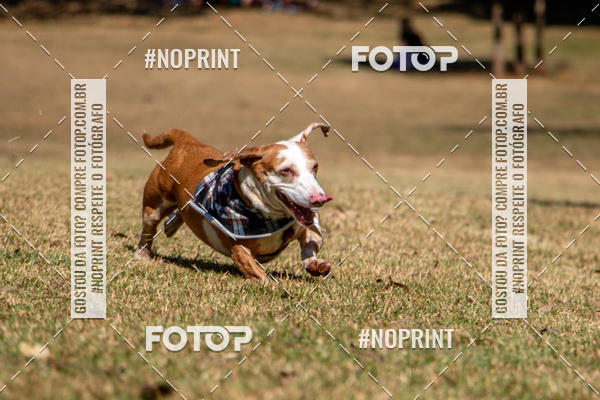 Compre suas fotos do eventoCo Joo - Festa Julina do Clube dos Salsichanos Ribeiro Preto no Fotop