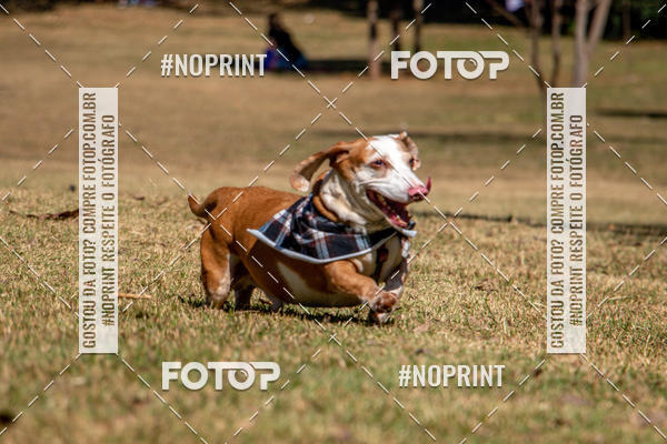 Compre suas fotos do eventoCo Joo - Festa Julina do Clube dos Salsichanos Ribeiro Preto no Fotop