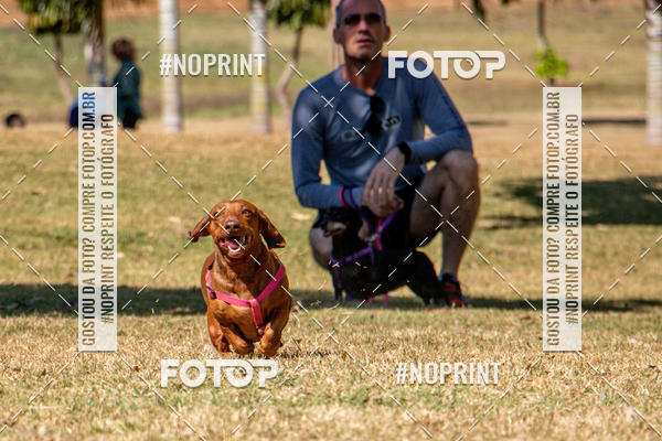 Compre suas fotos do eventoCo Joo - Festa Julina do Clube dos Salsichanos Ribeiro Preto no Fotop