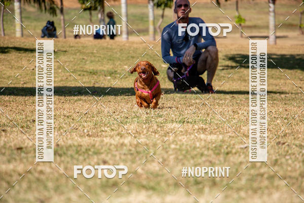 Compre suas fotos do eventoCo Joo - Festa Julina do Clube dos Salsichanos Ribeiro Preto no Fotop