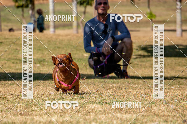 Compre suas fotos do eventoCo Joo - Festa Julina do Clube dos Salsichanos Ribeiro Preto no Fotop