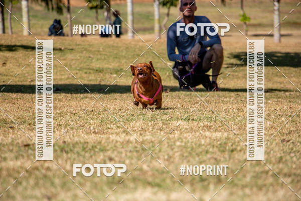 Compre suas fotos do eventoCo Joo - Festa Julina do Clube dos Salsichanos Ribeiro Preto no Fotop