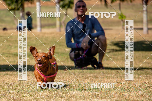 Compre suas fotos do eventoCo Joo - Festa Julina do Clube dos Salsichanos Ribeiro Preto no Fotop