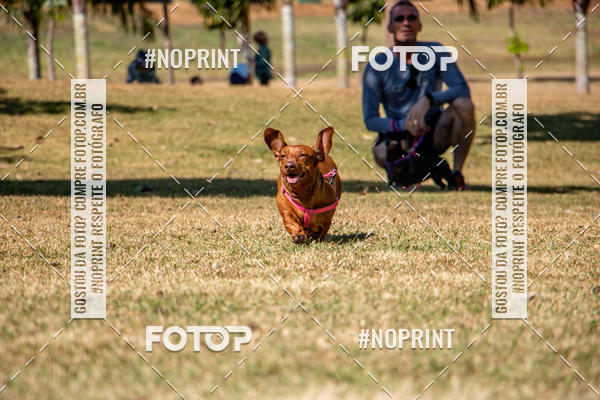 Compre suas fotos do eventoCo Joo - Festa Julina do Clube dos Salsichanos Ribeiro Preto no Fotop