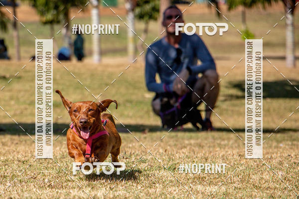 Compre suas fotos do eventoCo Joo - Festa Julina do Clube dos Salsichanos Ribeiro Preto no Fotop