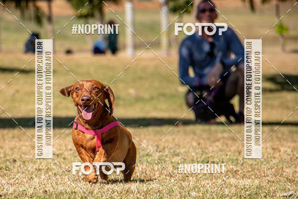 Compre suas fotos do eventoCo Joo - Festa Julina do Clube dos Salsichanos Ribeiro Preto no Fotop