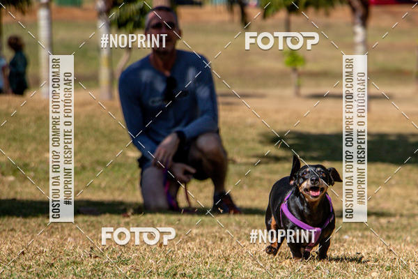 Compre suas fotos do eventoCo Joo - Festa Julina do Clube dos Salsichanos Ribeiro Preto no Fotop