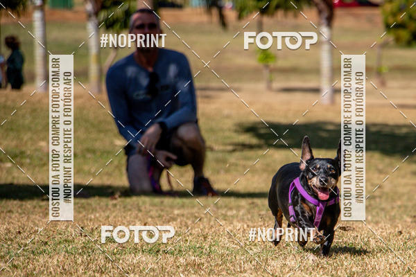 Compre suas fotos do eventoCo Joo - Festa Julina do Clube dos Salsichanos Ribeiro Preto no Fotop