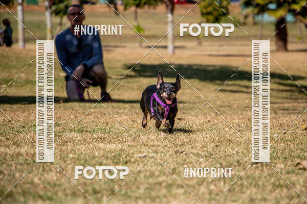 Compre suas fotos do eventoCo Joo - Festa Julina do Clube dos Salsichanos Ribeiro Preto no Fotop