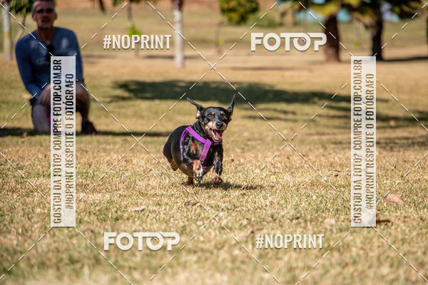 Compre suas fotos do eventoCo Joo - Festa Julina do Clube dos Salsichanos Ribeiro Preto no Fotop