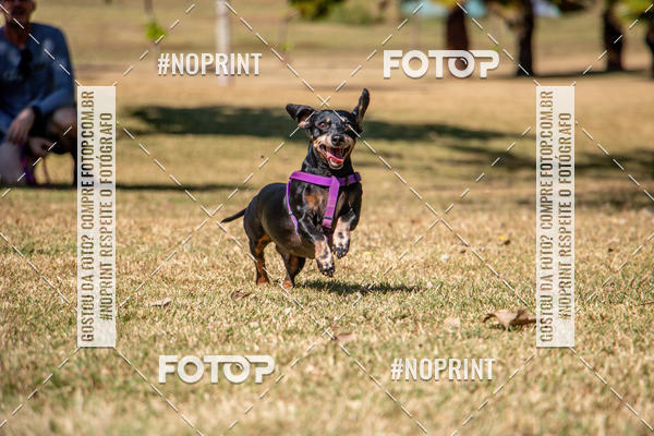 Compre suas fotos do eventoCo Joo - Festa Julina do Clube dos Salsichanos Ribeiro Preto no Fotop