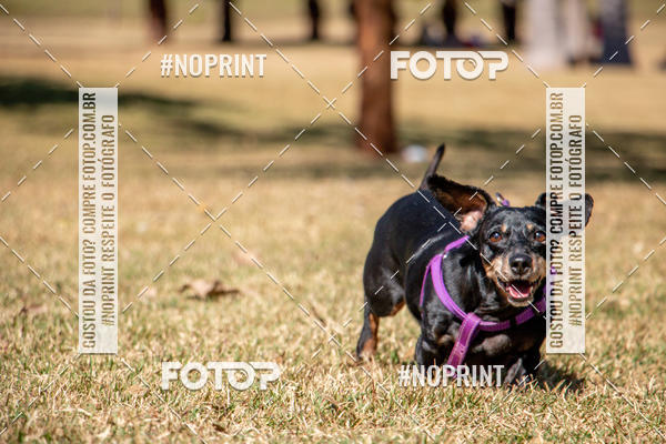 Compre suas fotos do eventoCo Joo - Festa Julina do Clube dos Salsichanos Ribeiro Preto no Fotop