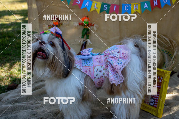 Compre suas fotos do eventoCo Joo - Festa Julina do Clube dos Salsichanos Ribeiro Preto no Fotop