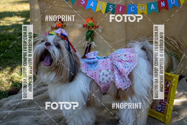 Compre suas fotos do eventoCo Joo - Festa Julina do Clube dos Salsichanos Ribeiro Preto no Fotop