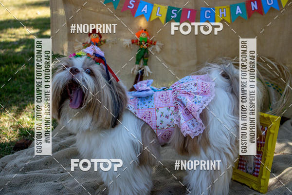 Compre suas fotos do eventoCo Joo - Festa Julina do Clube dos Salsichanos Ribeiro Preto no Fotop