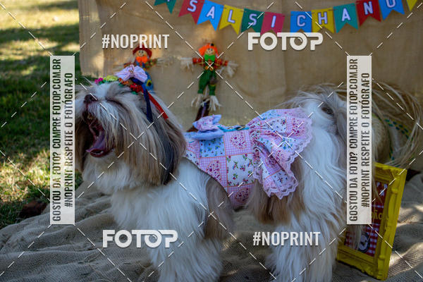 Compre suas fotos do eventoCo Joo - Festa Julina do Clube dos Salsichanos Ribeiro Preto no Fotop