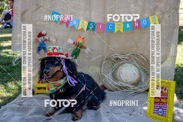 Compre as suas fotos do eventoCo Joo - Festa Julina do Clube dos Salsichanos Ribeiro Preto no Fotop