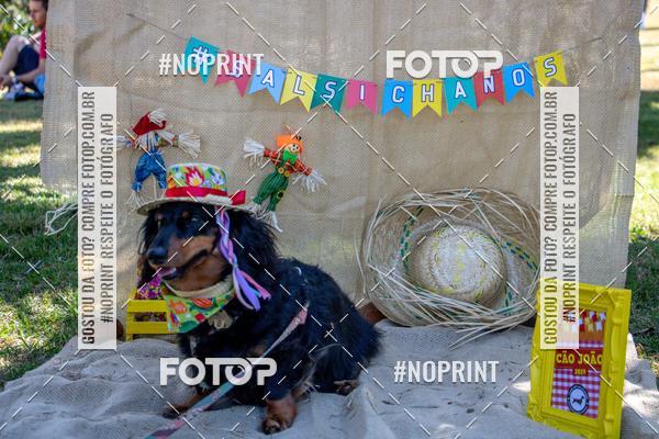 Compre as suas fotos do eventoCo Joo - Festa Julina do Clube dos Salsichanos Ribeiro Preto no Fotop