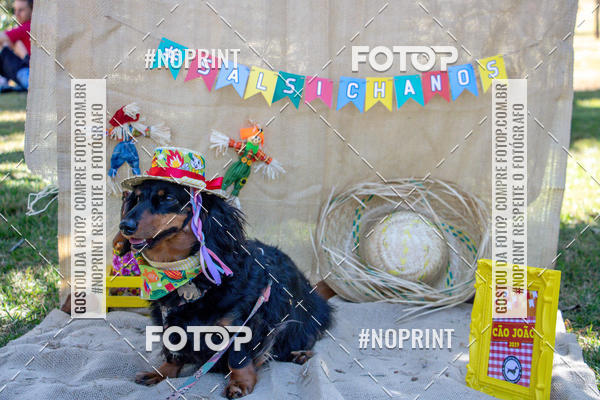 Compre as suas fotos do eventoCo Joo - Festa Julina do Clube dos Salsichanos Ribeiro Preto no Fotop