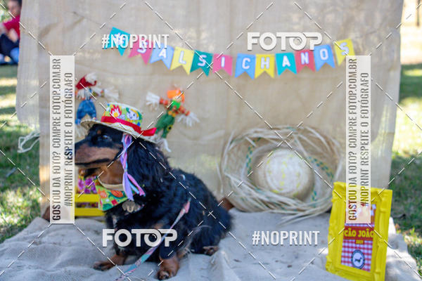 Compre as suas fotos do eventoCo Joo - Festa Julina do Clube dos Salsichanos Ribeiro Preto no Fotop