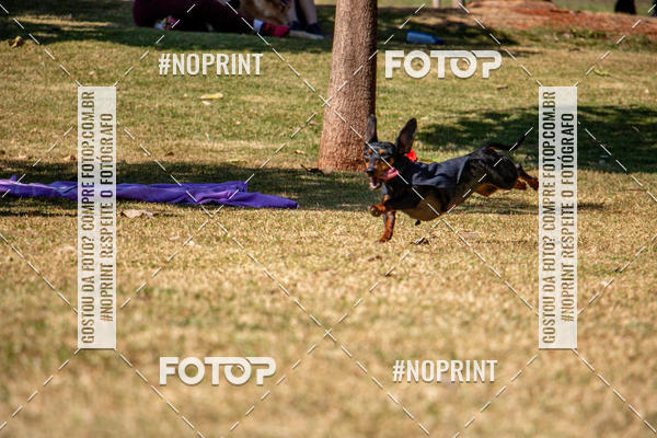 Compre as suas fotos do eventoCo Joo - Festa Julina do Clube dos Salsichanos Ribeiro Preto no Fotop