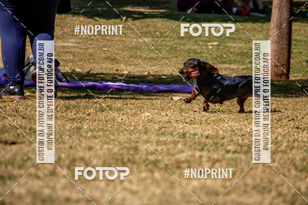 Compre as suas fotos do eventoCo Joo - Festa Julina do Clube dos Salsichanos Ribeiro Preto no Fotop