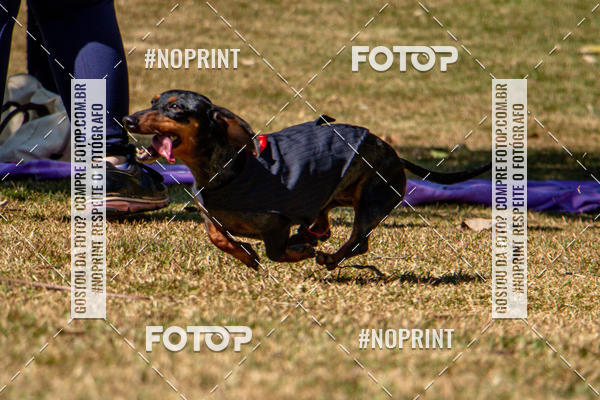 Compre as suas fotos do eventoCo Joo - Festa Julina do Clube dos Salsichanos Ribeiro Preto no Fotop