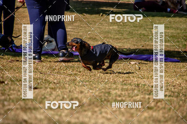 Compre as suas fotos do eventoCo Joo - Festa Julina do Clube dos Salsichanos Ribeiro Preto no Fotop