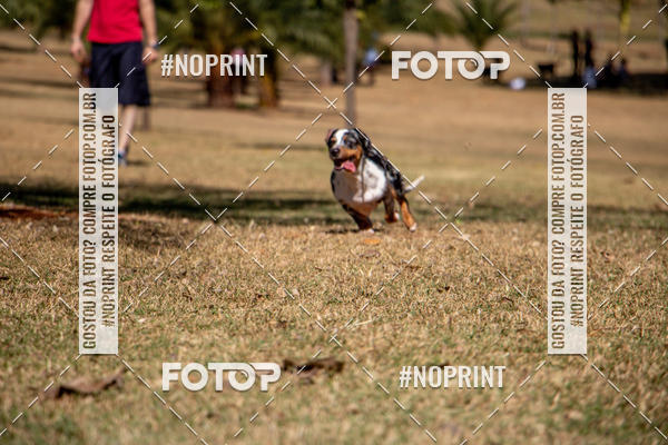 Compre as suas fotos do eventoCo Joo - Festa Julina do Clube dos Salsichanos Ribeiro Preto no Fotop