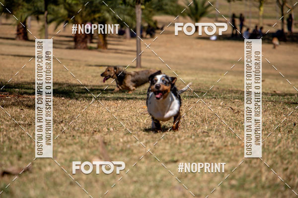 Compre as suas fotos do eventoCo Joo - Festa Julina do Clube dos Salsichanos Ribeiro Preto no Fotop