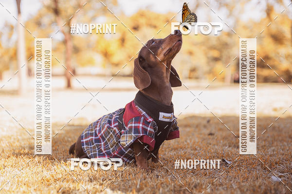 Buy your photos of the eventCo Joo - Festa Julina do Clube dos Salsichanos Ribeiro Preto on Fotop