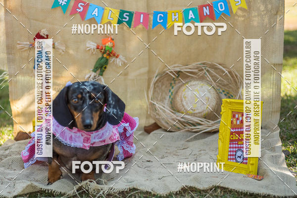 Buy your photos of the eventCo Joo - Festa Julina do Clube dos Salsichanos Ribeiro Preto on Fotop